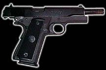 Para Ordnance P-14 .45 ACP (Open)
