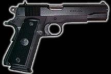 Para Ordnance P-14 .45 ACP (Closed)